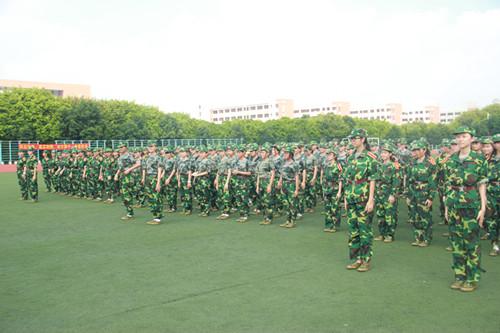 阳光炙热,“小绿人”却如松柏一般,身姿挺拔